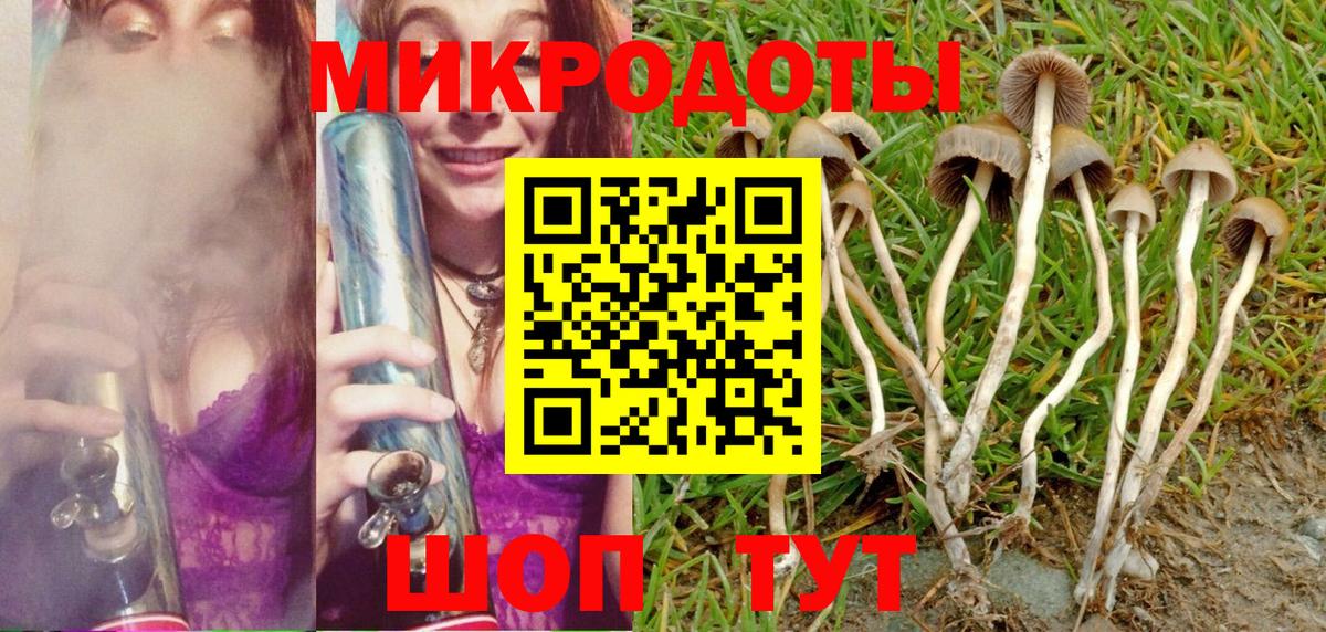 Тихвин  Псилоцибиновые грибы мухоморы  Псилоцибиновые грибы мицелий  Вход с VPN 